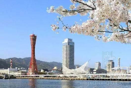 【又到櫻花爛漫時(shí)】春季日韓游線路推薦！