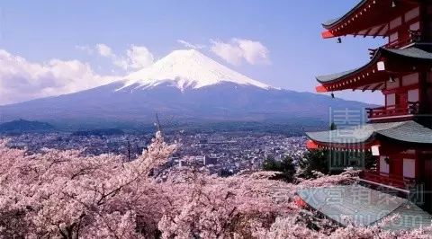 【又到櫻花爛漫時(shí)】春季日韓游線路推薦！