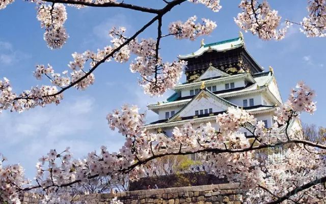 【又到櫻花爛漫時(shí)】春季日韓游線路推薦！
