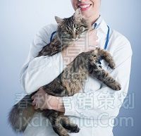 嘉興寵物美容，貝爾康正規(guī)嗎？