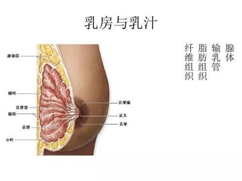 嘉興有愛美的朋友想要豐盈護(hù)理的嗎？